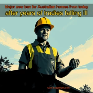 Artistic representation for Major new ban for Australian homes from today after years of tradies falling ill